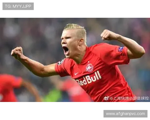 尊龙z6.com网站登录入口详细操作流程与常见问题解决方案